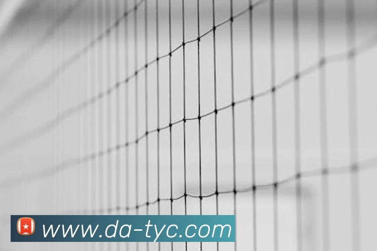 澳门太阳城网站平台生态图